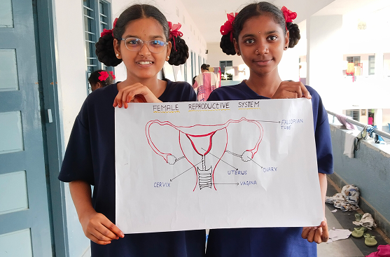 Girls showing educational drawing about menstruation