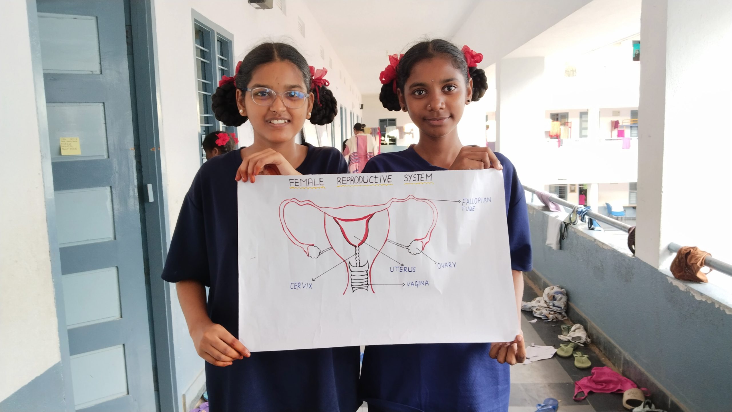 Questioning menstrual myths 